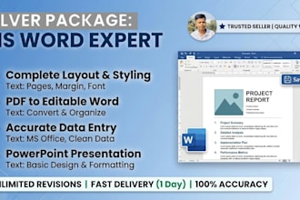 do professional microsoft word document formatting and layout design