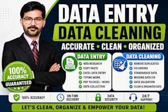 do data cleaning, data entry, and excel data formatting