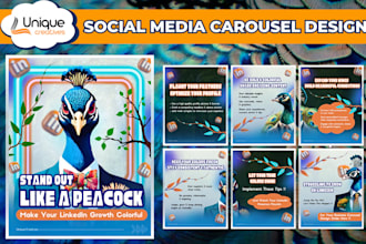 create professional carousel post designs for any business