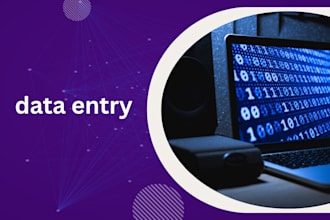 carry out flawless data entry work and web research swiftly