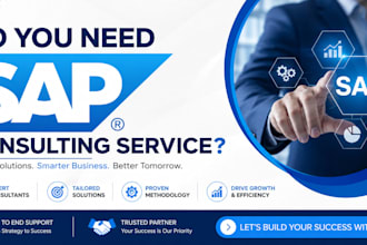 be your sap fico consultant and project manager