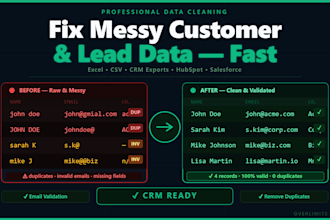 clean validate and format CRM excel CSV data professionally