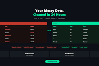 clean and format excel or CSV data professionally