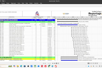primavera p6 project schedule and baseline plan