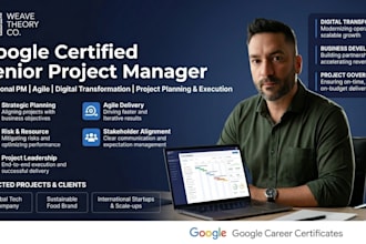 be your fractional senior project manager, agile digital transformation