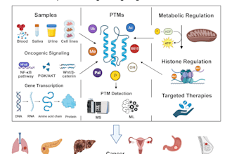 design a scientific graphical abstract in biorender