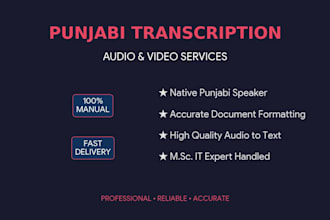 do professional punjabi audio transcription and fast typing