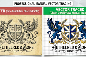 provide expert coreldraw vector and technical services