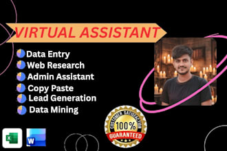 be your professional virtual assistant for administrative and data entry
