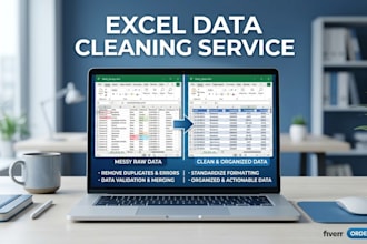 excel data cleaning formatting and spreadsheet