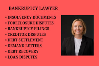 handle bankruptcy, debt settlement, creditor disputes, and insolvency matters