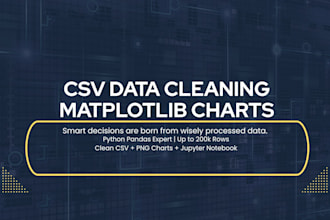 do python  data cleaning and matplotlib  visualization
