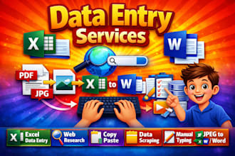do accurate excel data entry,copy paste,web research typing