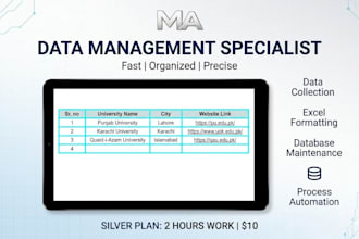 provide high quality data organization and data entry services