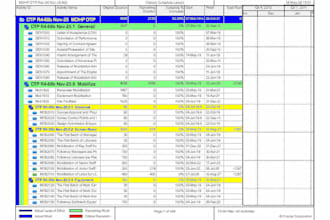 create professional primavera p6 schedules and construction planning