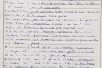 create neat handwritten notes and assignments