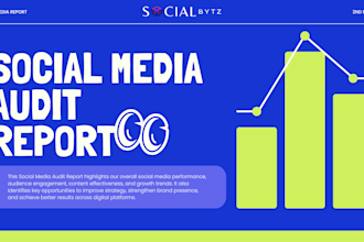do a complete social media audit and give you a growth strategy report