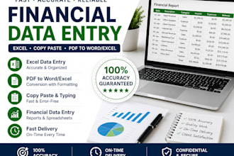 accurate financial data entry and excel work
