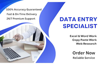 do frofessional data entry, copy pastework and web research