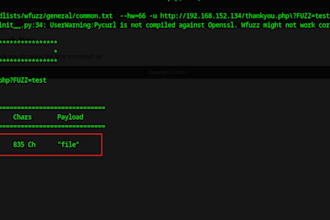 perform owasp top 10 web application security testing