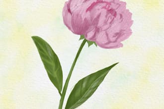 create soft botanical and nature illustrations for wellness brands and products