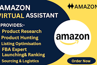 be expert amazon fba virtual assistant, amazon va, amazon PPC, product upload