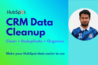 audit and clean hubspot CRM data, remove duplicates
