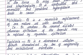 neat and accurate handwriting works