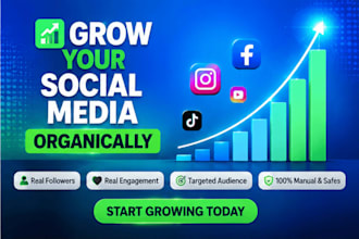 increase social media followers