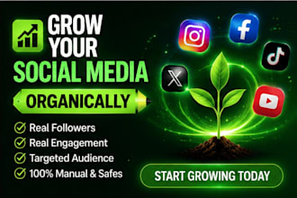 increase social media followers