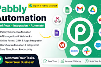 set up pabbly connect automation workflow zoho flow and api integration