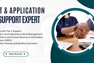 provide professional tier 1 and tier 2 technical application support