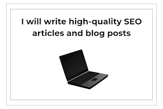 write SEO blog posts and articles