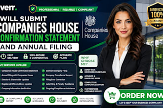 submit companies house confirmation statement and annual filing