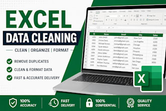 clean, format and organize excel or CSV data professionally
