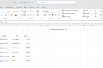 clean, organize and format excel data professionally