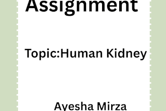 creat assignment canva and ms word