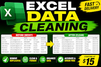 clean, format, and organize your excel data