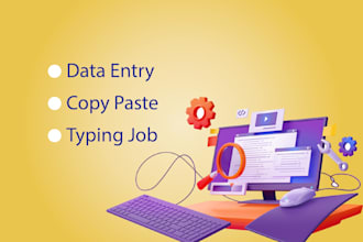 do data entry and copy paste