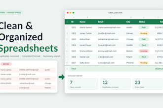 organize your data, spreadsheets and files