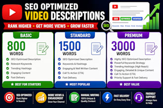 write SEO optimized video descriptions