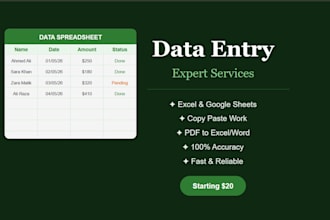 do fast and accurate data entry and ms word typing