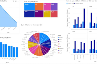 create a professional power bi dashboard that gets you hired and paid