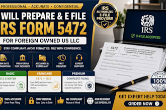 prepare and e file irs form 5472 for foreign owned US llc