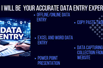 do fast and accurate data entry ,excel, copy paste work