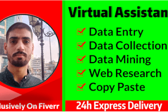 efficiently handle your data entry typing copy paste and web research