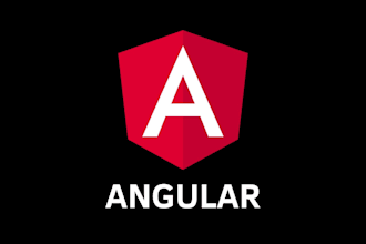 develop angular web applications professionally