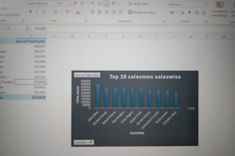 clean, organise,analyse the data