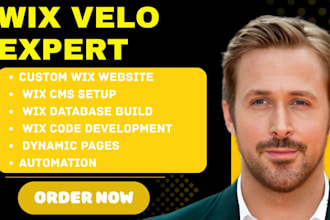 design wix website using wix velo, wix code and database wix cms and wix design