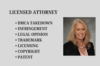 handle copyright, patent, IP infringement,and dmca takedown cases as your lawye